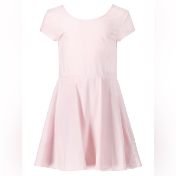 Polo Ralph Lauren NWT Ballet Pink Dress (size 2T) - Picture 1 of 9